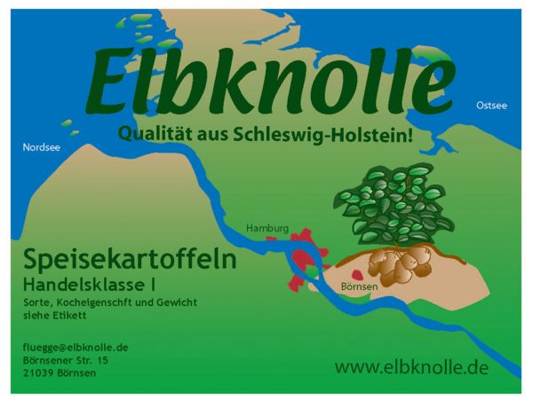 Elbknolle